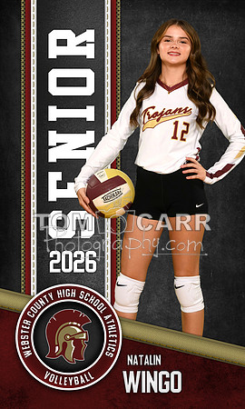 Wingo Volleyball Bnr