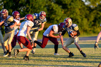 MCHSF-JV_100322-125