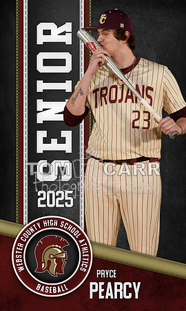P.Pearcy Baseball Banner