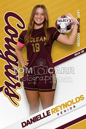 D.Reynolds Soccer Banner