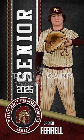 B.Ferrell Baseball Banner